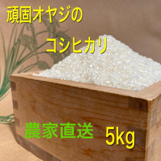 令和元年産　頑固オヤジのコシヒカリ近江米5kg　(滋賀湖北・減農薬)