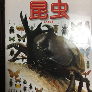 【決定済】小学館の図鑑　Neo ４冊　動物　昆虫　宇宙　人間
