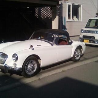 【ネット決済・配送可】ＭＧ MGA