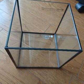 金魚鉢 ガラス立方体