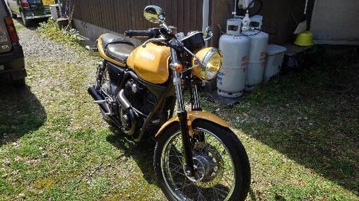 ルネッサ250（お取引中）