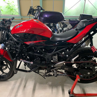 ninja250SL エクストリーム仕様