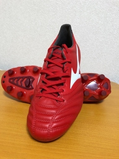 ジーコ 直筆 サイン Tシャツ 1995年 ビーチ・サッカー三浦海岸」 元