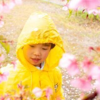 🌸満開の桜のトンネル🌸で、るんるん撮影会😊📷️🎶 - その他