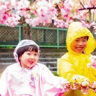 🌸満開の桜のトンネル🌸で、るんるん撮影会😊📷️🎶 - 京都市