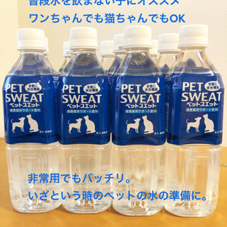 PET SWEAT(ペットスエット) ペット用水