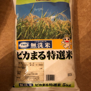 イオン　ピカまる特選米　無洗米　5kg