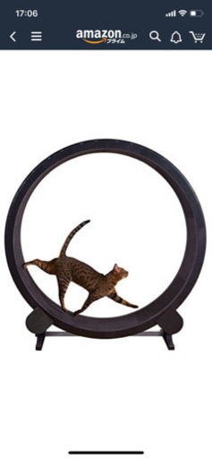 キャットホイール　ペット用品