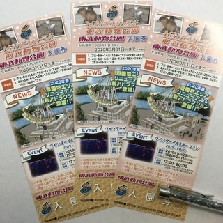 延長決定！♡ 東武動物公園 ♡ 招待券です！