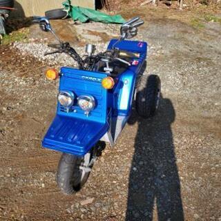 GYRO X ミニカー登録にしました