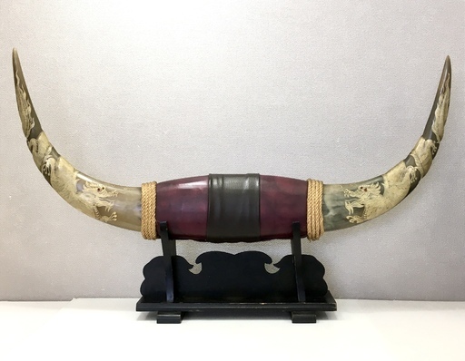 水牛のツノ | www.mpslsw.gov.zw