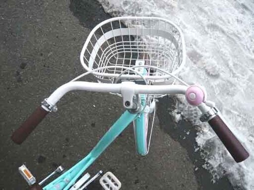 札幌 20インチ 自転車 子供用 キッズ LEDオートライト 鍵付き ２０インチ 女の子