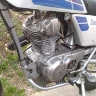 HONDA イーハトーブ TL125 セミレストア車 美車 トライアル ヴィンテージ