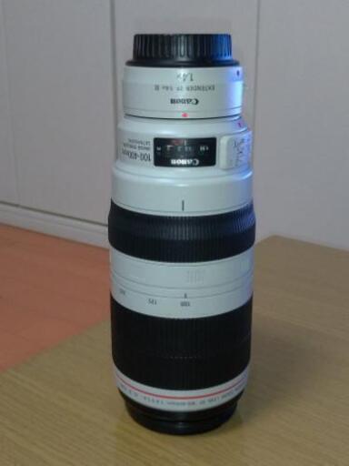 Canon EF 100-400mm IS Ⅱ + x1.4 エクステンダーIII型
