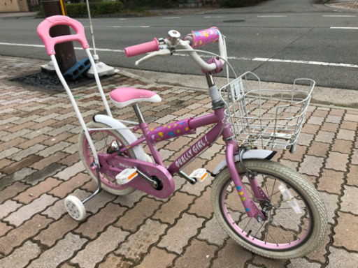 早い者勝ちです！！！