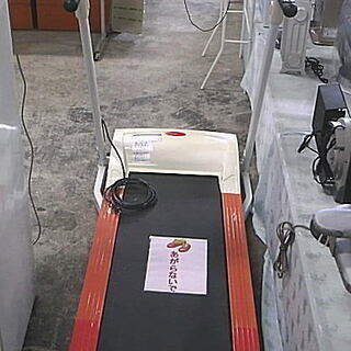 少し大きめのルームランナー　引取り限定