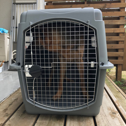 値下げ】大型犬用ケージ＜ペットメイト スカイケンネル XL