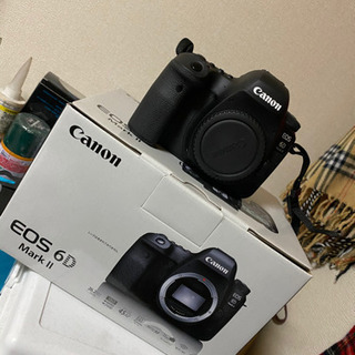 Canon EOS 6D Mark2 ほぼ新品 使用回数少