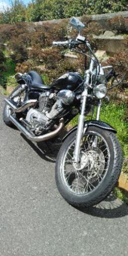 ビラーゴ250　後期型　(3)
