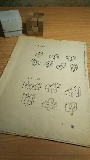 木の立体パズル 小学生向け 70パターン わっきぃ 新田のパズルの 木の立体パズル 小学生向け 70パターン わっきぃ 新田のパズルの