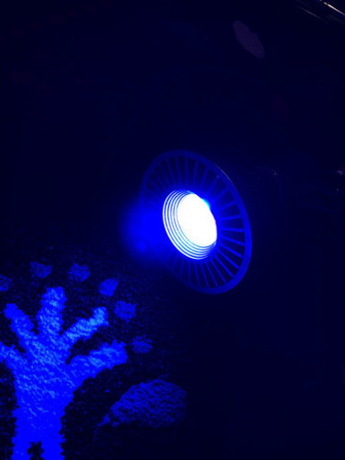 LEDライト　3点セット