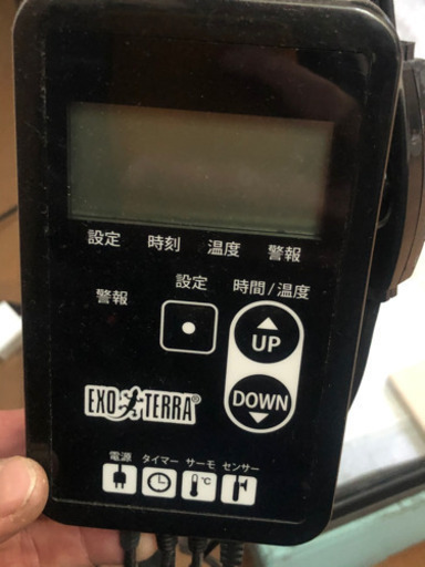 フトアゴヒゲトカゲ 飼育セット即飼育可能 90サイズ