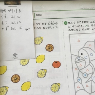 オンラインショップ 小学生プリント右脳Ⅱ【プリント教材】 七田
