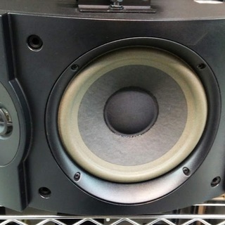 Bose 301V Direct/Reflecting スピーカーシステム ペア