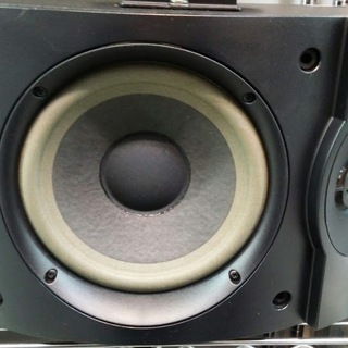 Bose 301V Direct/Reflecting スピーカーシステム ペア