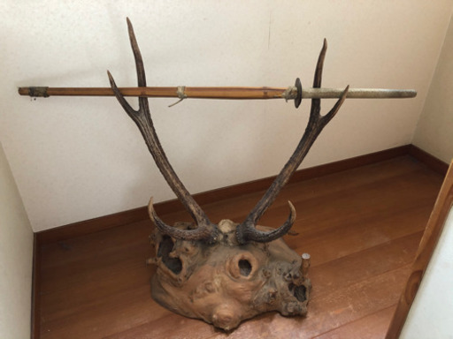 鹿の角 天然木台付き 刀置き オブジェ 約１２kg しょしがり 水原のその他の中古あげます 譲ります ジモティーで不用品の処分