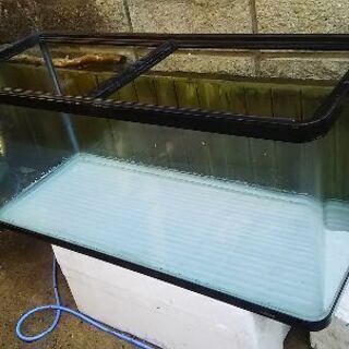 120Ｒ水槽ガラスコーナーがRなのは希少品です　アロアナ飼育してました
