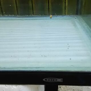 120Ｒ水槽ガラスコーナーがRなのは希少品です　アロアナ飼育してました 120R水槽ガラスコーナーがRなのは希少品です アロアナ飼育してました