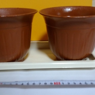 無料　新品風　植木鉢　小さい　2個セット ＆アイボリートレイ