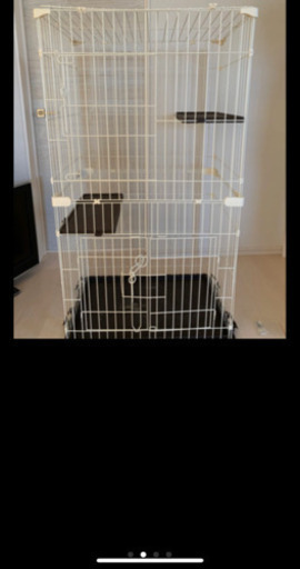 猫飼育セット ゲージ 大和田一輝 本庄のその他の中古あげます 譲ります ジモティーで不用品の処分