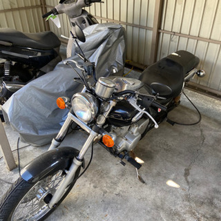 Marmot / NutShell マーモット / ナッツシェル