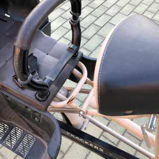 【写真公開しました】子供乗せ　ふらっかーず　シュシュ