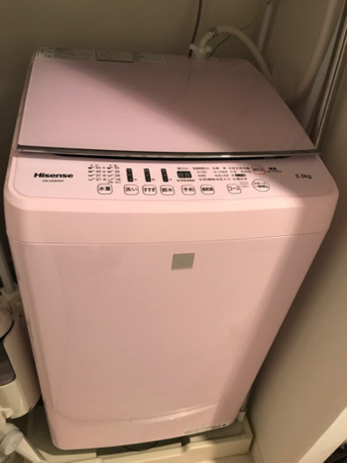 Hisense 5.5kg 洗濯機