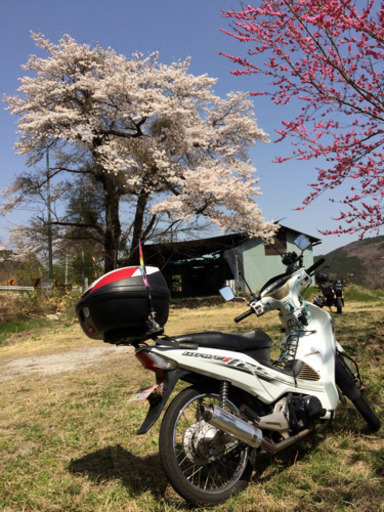 希少】 タイ製カブ wave125i
