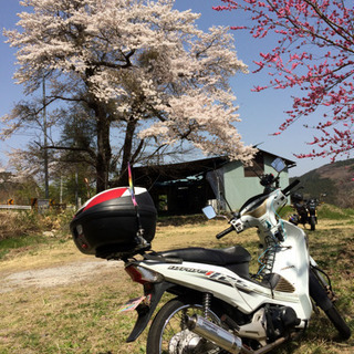 【希少】　タイ製カブ　wave125i