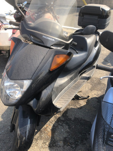 HONDA フォーサイト　250cc 福岡市南区　掘り出し物 HONDA フォーサイト 250cc 福岡市南区 掘り出し物