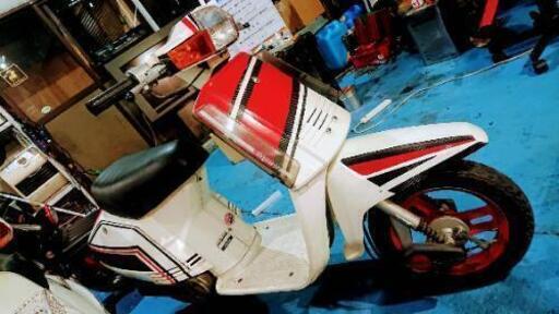 「超レア」★HONDA★AF-07後期ニュータクト 超レア」☆HONDA☆AF-07後期ニュータクト