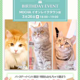 猫カフェMOCHAイオンレイクタウン店　☆3/26誕生日会開催☆