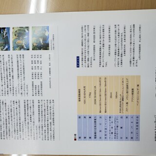 ◇新品同様◇ 健康運動機器セイフプレーン 整体院・整骨院 【公式通販】