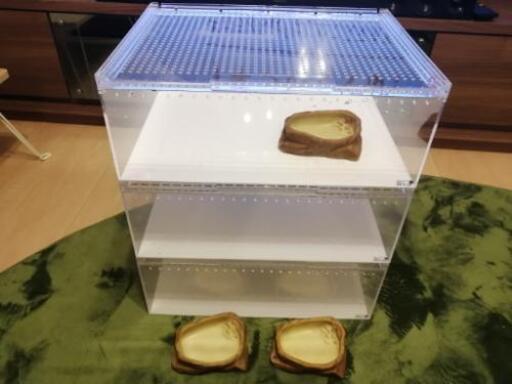 爬虫類ケージ・水入れ　※最終値下げ