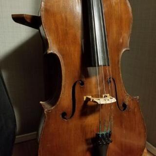 フルセット！ 1/2分数 オールドチェロ 1721年製作のオールドイタリー フルセット！ 1/2分数 オールドチェロ 1721年製作のオールドイタリー