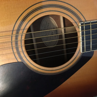 アコギ】 アコースティックギター YAMAHA L-5S