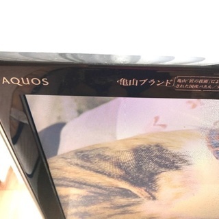 シャープ AQUOS 32インチ LC-32DX3