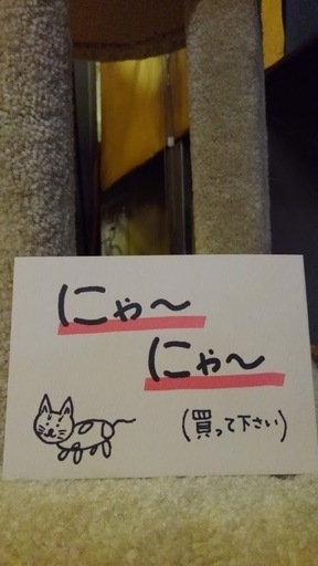 【店舗同時販売中】キャットタワー