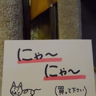 【店舗同時販売中】キャットタワー
