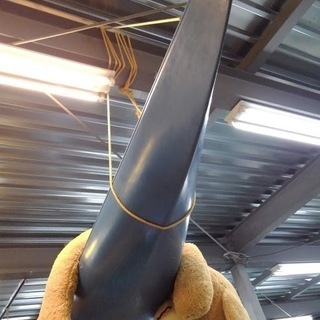 訳あり【店舗同時販売中】シーカヤック　現状品